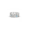 Desert Band 2mm